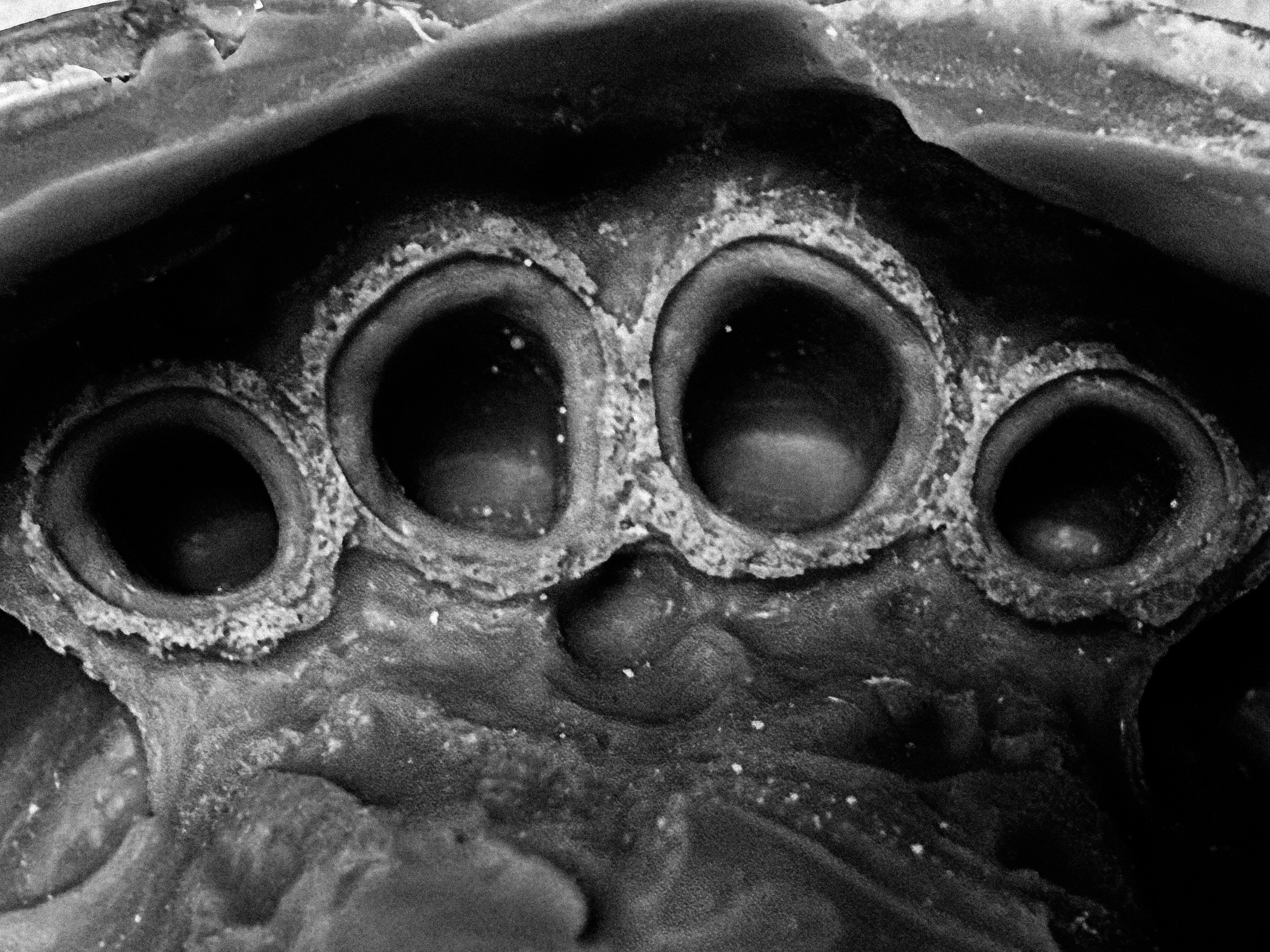 On-site dental laboratory