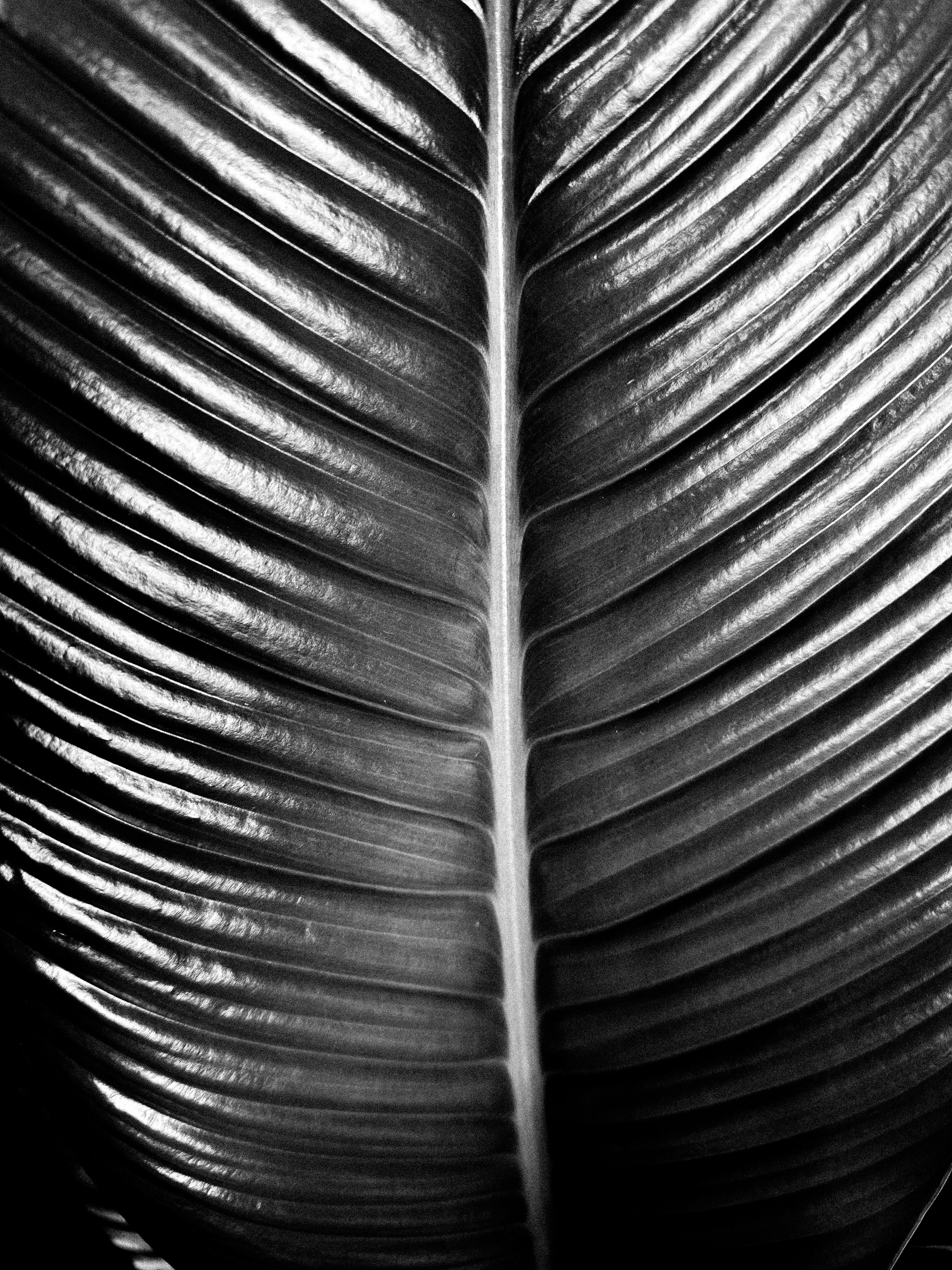 Invisalign clear aligners orthodontic treatment in South Yarra